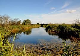 Naturschutzgebiet Radelsee